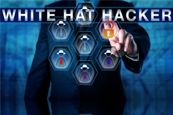 Ethical hacker or White Hat Hacker  